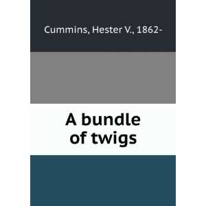  A bundle of twigs Hester V. Cummins Books