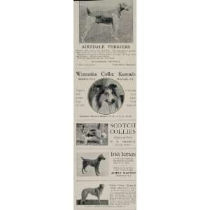  1902 Ad Airedale Terrier Scotch Collie Borzoi Breeders 