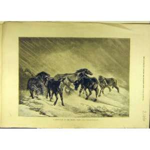  1878 Snow Storm Steppes Russian Horses Animal Print