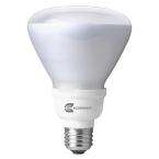  16 Watt (65W) R30 Daylight CFL Light Bulbs (2 