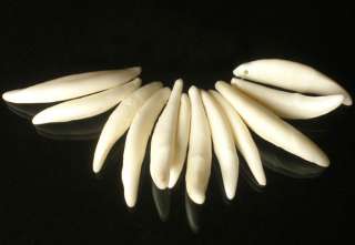 12 Charming Tibet Natural White Wolf tooth Tusk Pendant  
