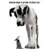Empire 399755 Hunde   Never Be Afraid To Say Poster   61 x 91.5 cm