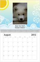2012 Samoyed Puppy Dog Wall Calendar Puppies  
