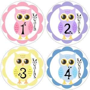  Owls Baby Month Stickers for Bodysuit #20 Baby