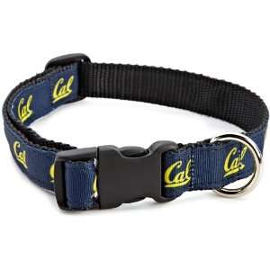 NCAA California Golden Bears Dog Collar 