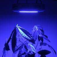 All Blue 90 Watt UFO LED Grow Light Vegi Mother Clone  