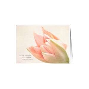  Pink Amaryllis Flower   Blank all occasion note card Card 