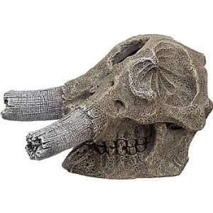   Elephant Skull with Broken Tusks Aquarium Ornament
