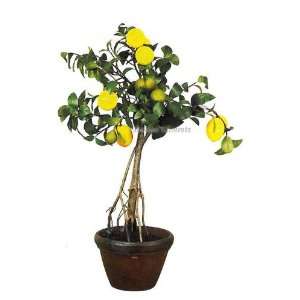  37 Lemon Bonsai Tree in Pot, Artificial, Silk Plant