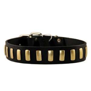  Plated Perfection Dog Collar   Brown, 34 36   Frontgate 