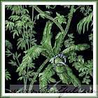 EXOTIC Silk FAN PALM TREE 6 foot Asian Tropical 250  