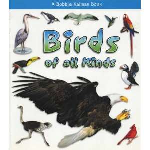     Birds of all Kinds   Interesting Facts and Photos 
