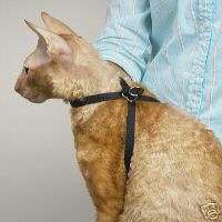 Pet Supplies Grooming Adjustable CAT HARNESS *NIP Cats  