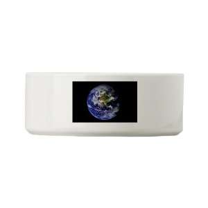  Dog Cat Food Water Bowl Earth   Planet Earth The World 