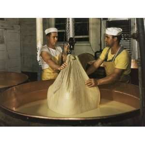  Workers Lift Cheese Curds from a Kettle to a Pressing 