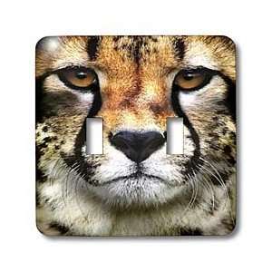 Susan Brown Designs Animal Themes   Cheetah Face   Light Switch Covers 