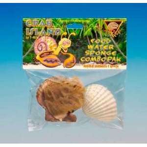  Hermit Crab Shell And Sponge Combo
