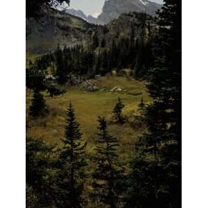   Fall Landscape, Colorado Premium Poster Print by Michael Brown, 12x16