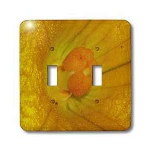 Rebecca Anne Grant Photography Flowers   Squash Flower   Light Switch 