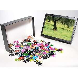   Puzzle of Landscape near Trujillo from Robert Harding Toys & Games