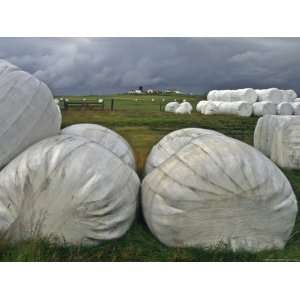  Iceland Plastic Wrap Protects Hay from Rain Storm Premium 