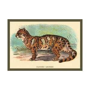 The Clouded Leopard 20x30 poster 