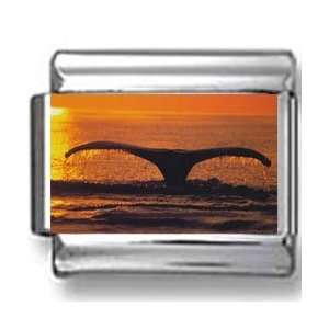  Whale Diving with Horizon Photo Italian Charm Jewelry