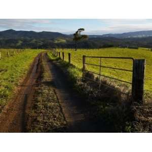  Farm Track and Gate in Green Landscape Premium 