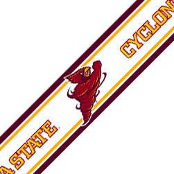 nEw NCAA IOWA STATE CYCLONES College Boys WALL BORDERS  