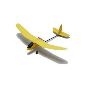  Vortex Electric RC Airplane RTF (2ch) Toys & Games