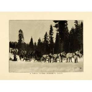  Sleigh Horse Tahoe Tavern Sierra Nevada California Winter Harness 