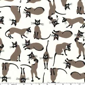   Are Siamese Cats Cat Kitty Michael Miller Fabric DCX5239_Cream  