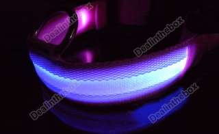   Blue LED Dog Pet Flashing Light Up Safety Collar Pink Size L  