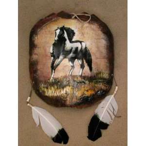  Painted Turtle Shell Mandella 13x15  Painted Pony (13 