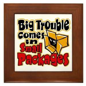 Framed Tile Big Trouble Comes In Small Packages 