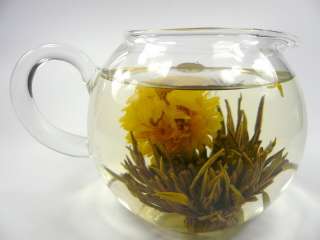 Glass Teapot + 6 Blooming Flowering Tea Gift Set  