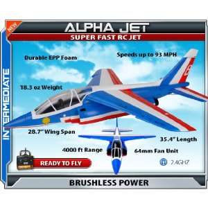   Parkflyers Alpha Jet RTF Electric RC Jet RC Plane 21273 Toys & Games