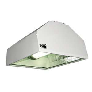  Sunleaves Comet Fluorescent 120 Watt Fixture Everything 