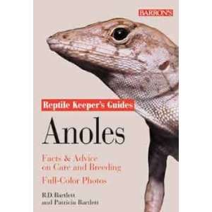  Top Quality Reptile Keepers Guide To Anoles