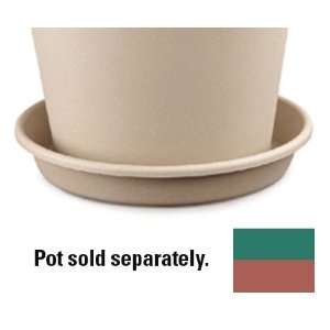  Saucer 8 Classic Green Case Pack 24   902668 Patio, Lawn 