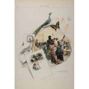  1895 Casino Nice Tightrope Walker Rosenstand Engraving 
